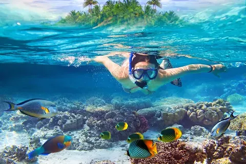 Thalassa Tour Co.,Ltd., tour operator in Krabi