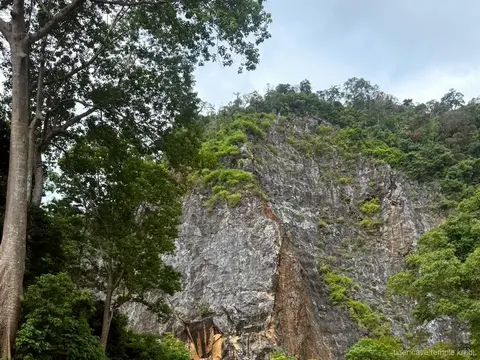 ethical elephant sanctuary and Tiger Cave Temple tour Krabi, photo 2