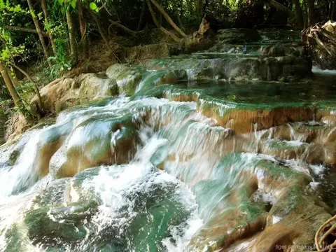 Emerald Pool, hot springs and Tiger Cave Temple jungle tour Krabi, photo 2